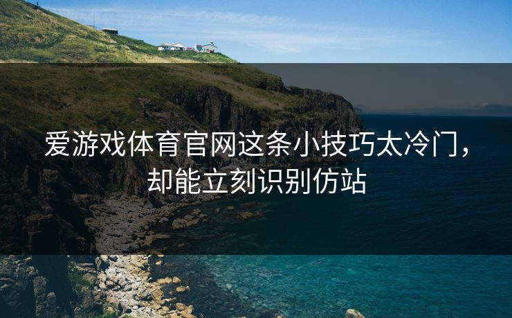 爱游戏体育官网这条小技巧太冷门，却能立刻识别仿站