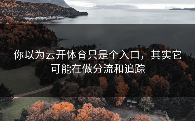 你以为云开体育只是个入口，其实它可能在做分流和追踪