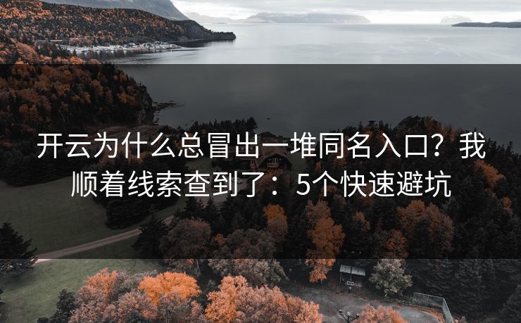 开云为什么总冒出一堆同名入口？我顺着线索查到了：5个快速避坑