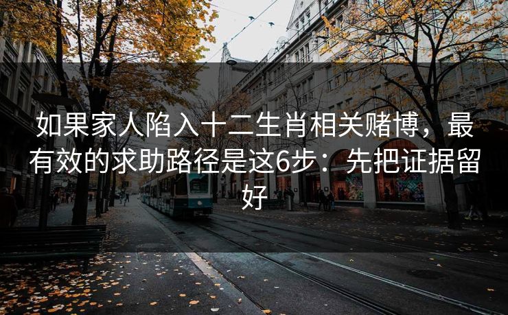 如果家人陷入十二生肖相关赌博,最有效的求助路径是这6步:先把证据留好 如果家人陷入十二生肖相关赌博,最有效的求助路径是这6步:先把证据留好